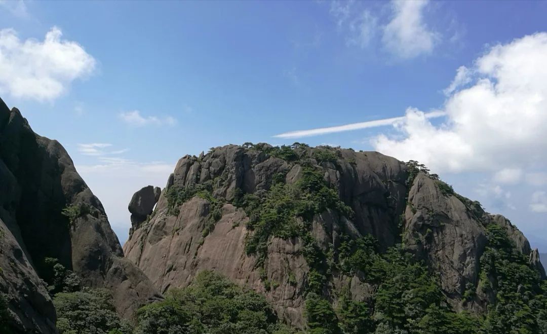 仙人翻桌