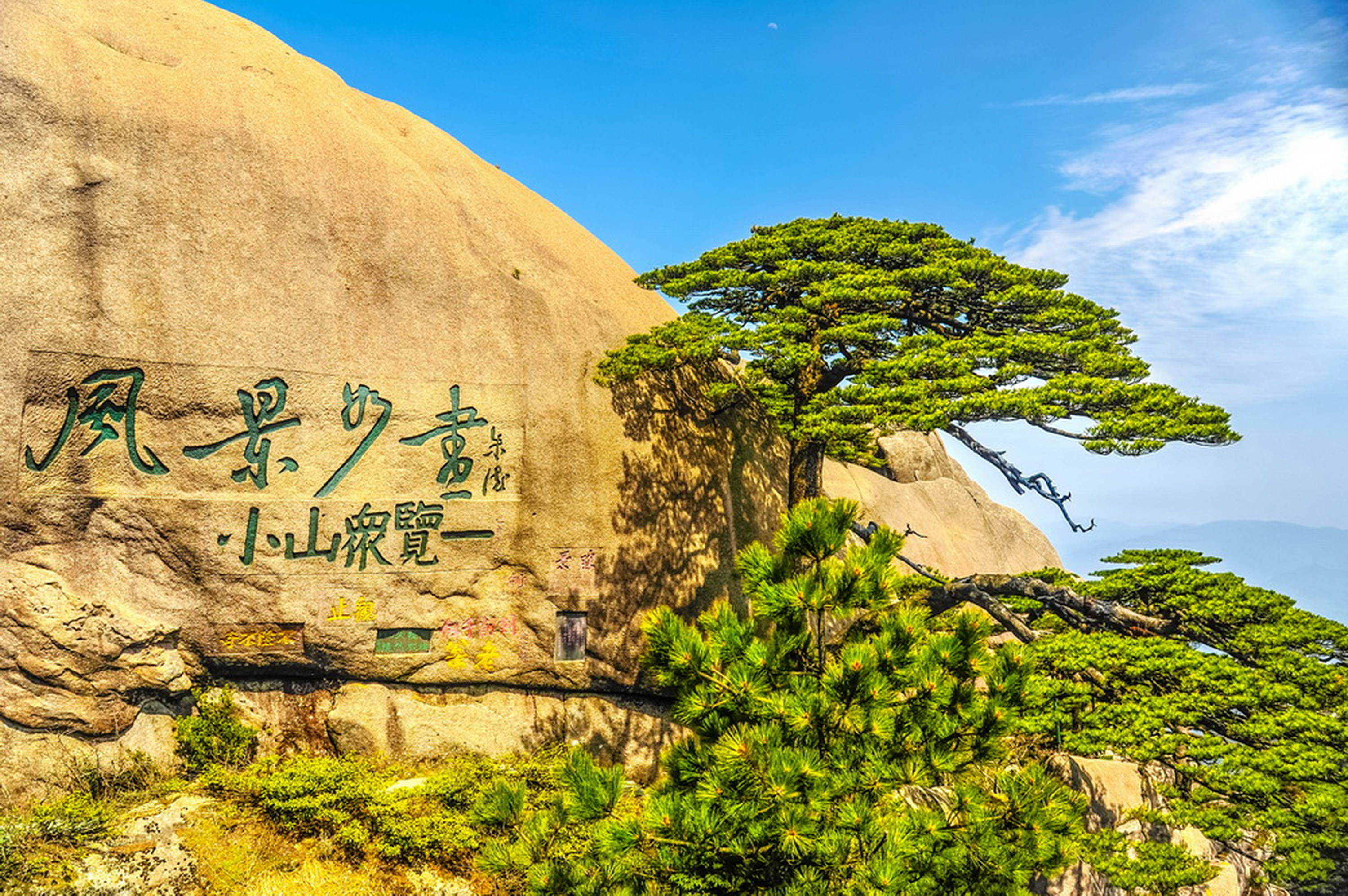 黄山迎客松
