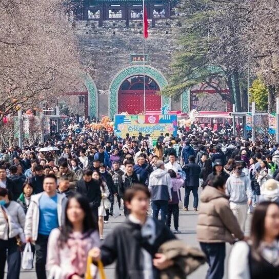 没去玄武湖吹风,这个春天不算完整!