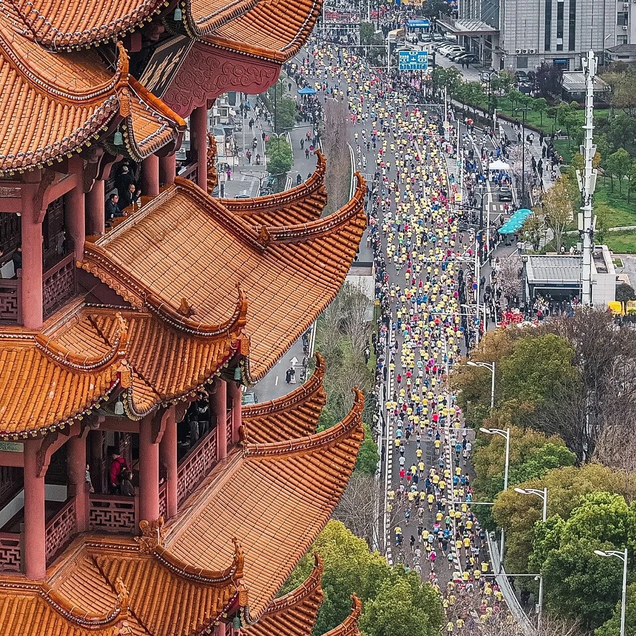 登楼赏樱看汉马,这视角太权威了!
