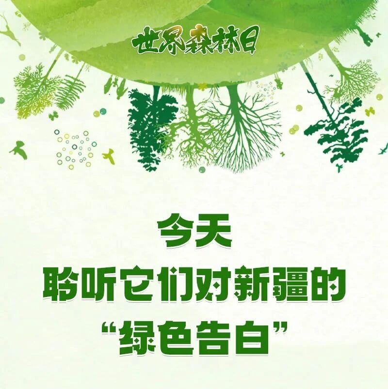 世界森林日丨今天,聆听它们对新疆的“绿色告白”
