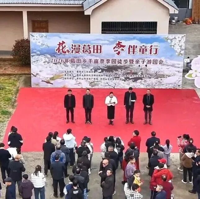 井冈山乡村花朝游丨葛田乡这场李花节,今天刷屏啦!