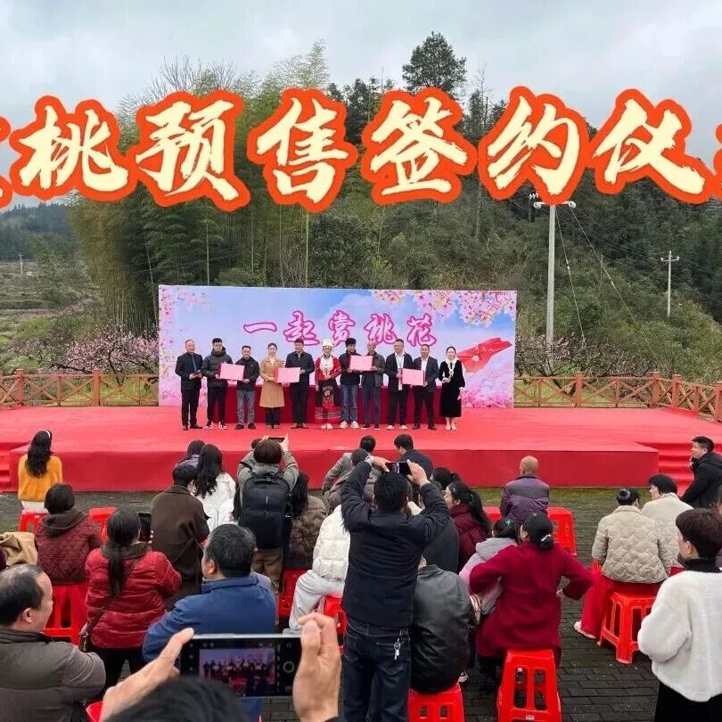 井冈山乡村花朝游 | 以花为媒促振兴 茅坪镇开展踏青赏花游园活动