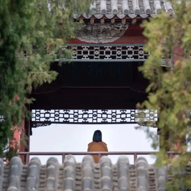 快和春天合个影|春入东岳,韵满岱庙