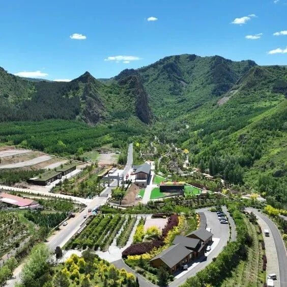 习近平总书记关切事|以林为笔的生态答卷