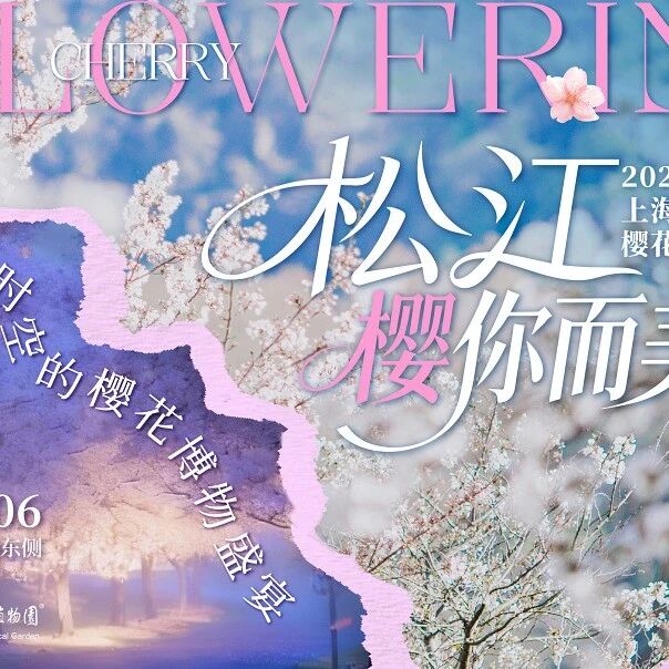 松江樱你而美,2026辰山植物园樱花季如约而至!