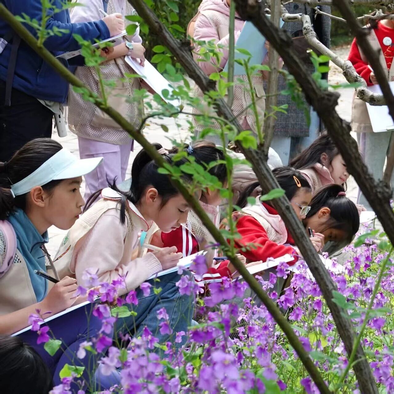活动招募丨森林观察家——四月“春日百花主题”自然笔记&博物绘画