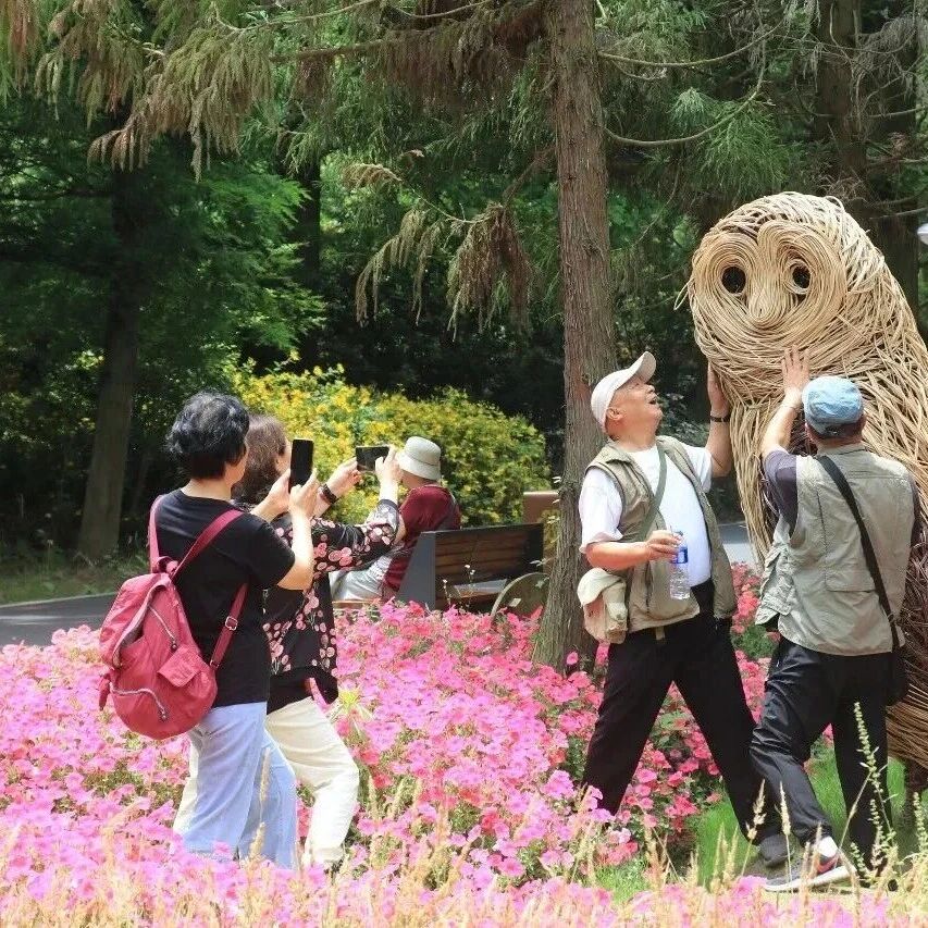 东平国家森林公园“春日光影”摄影大赛正式启动!晒美图赢畅玩套餐~