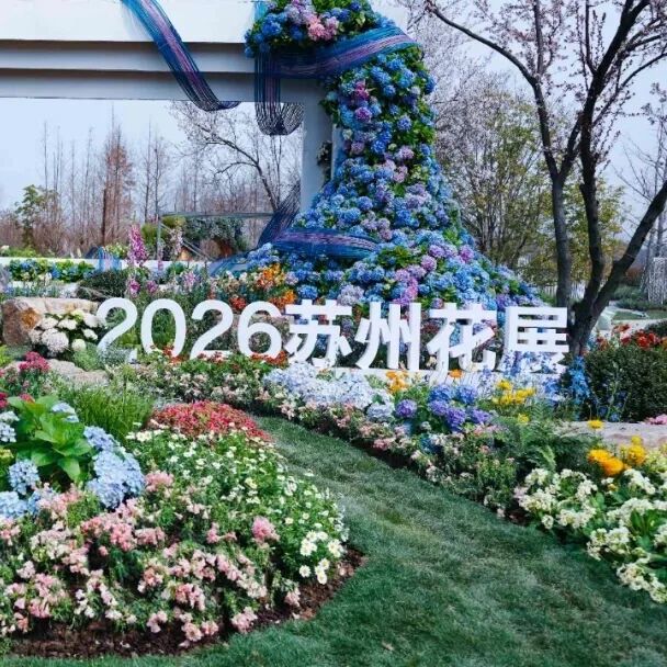 别问!问就是“高人指点”!苏州花展美出新高度
