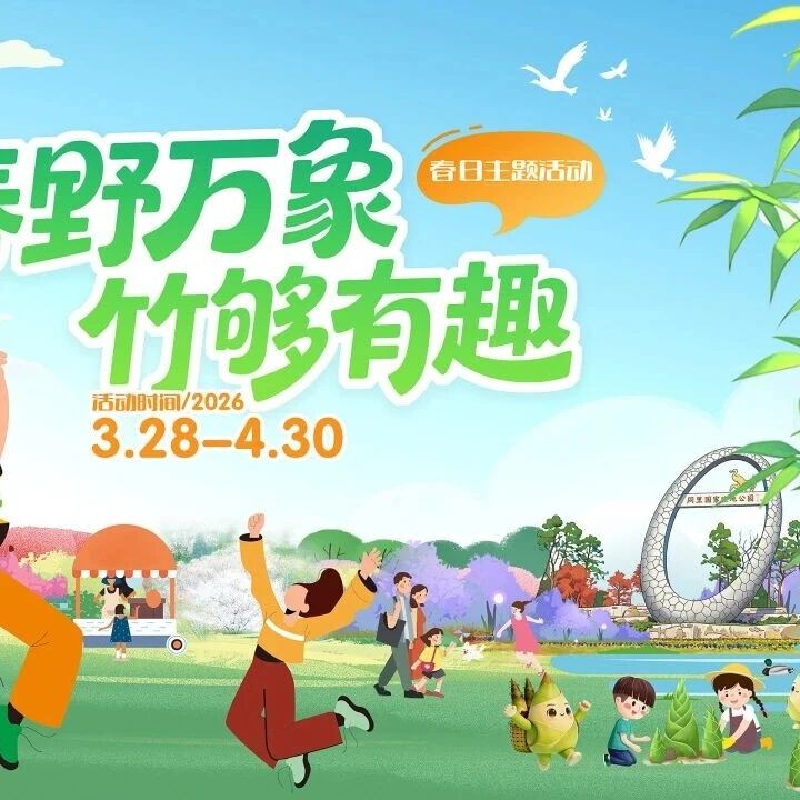 “竹”够有趣!来同里湿地挖一篮春天带回家