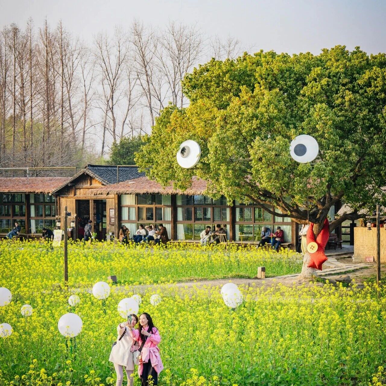 为什么我想和你在春天见面?
