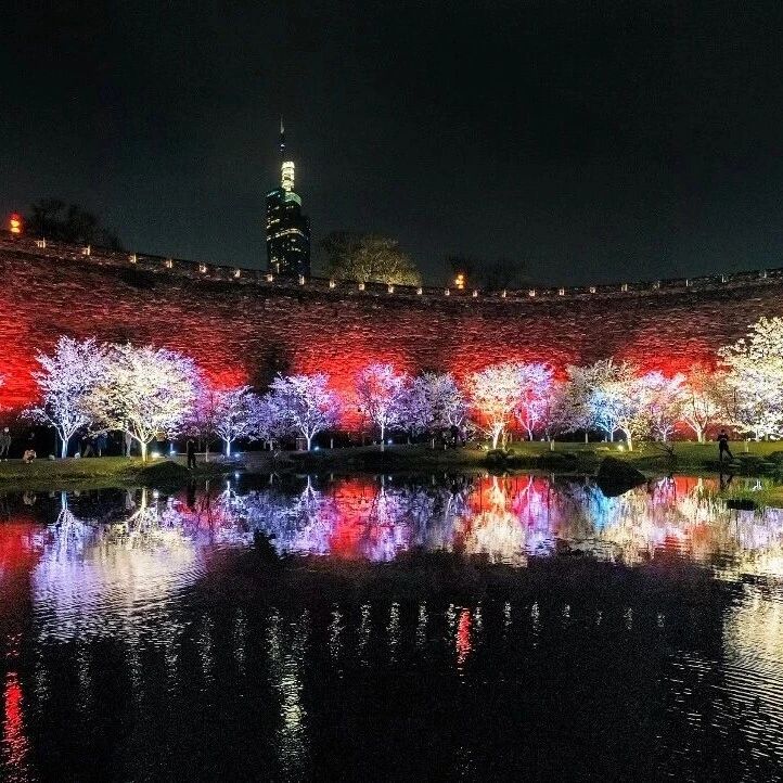 春天的玄武湖,越夜越美!