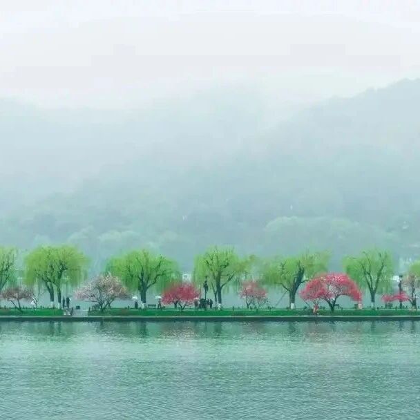 杭州人春天的顶级浪漫,都藏在这一片桃红柳绿里