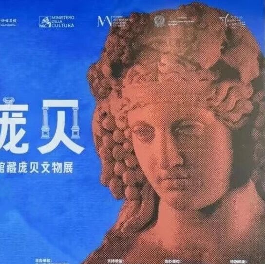 对话永不落幕|庞贝特展数字展厅开放,馆长讲解视频同步上线