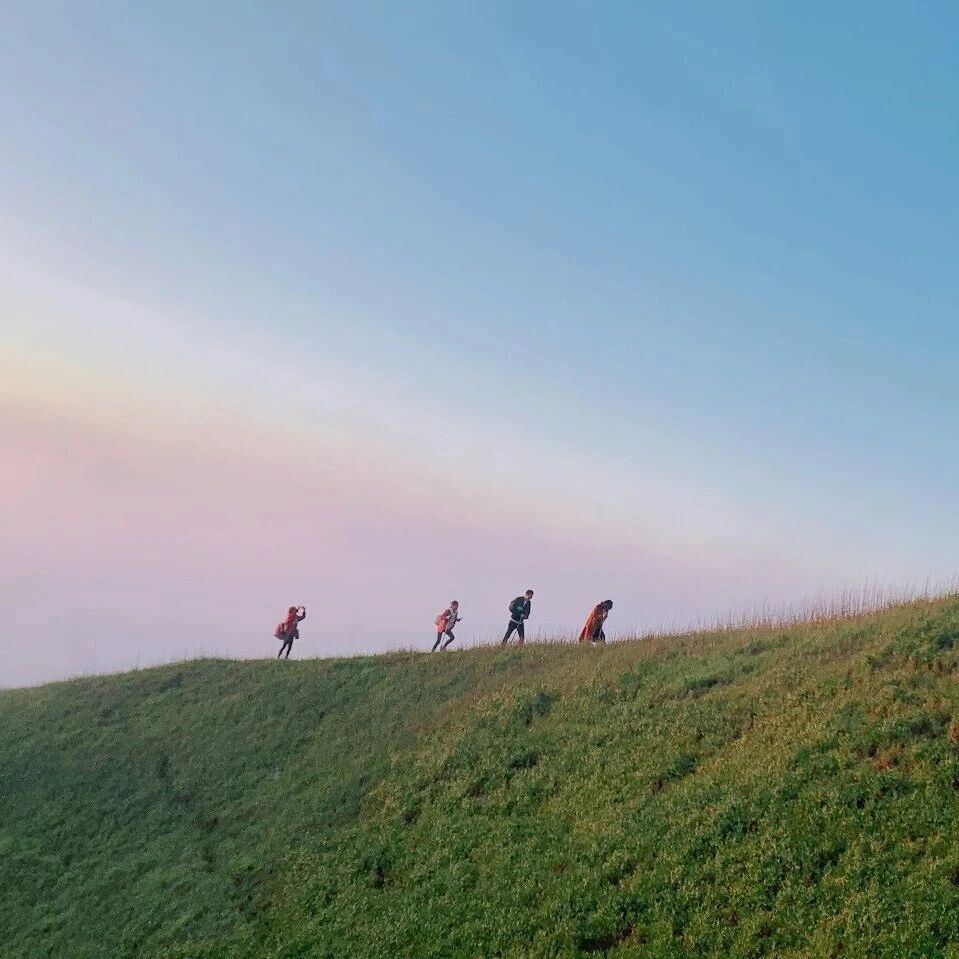出发前必看‼️武功山的一天能有多野?