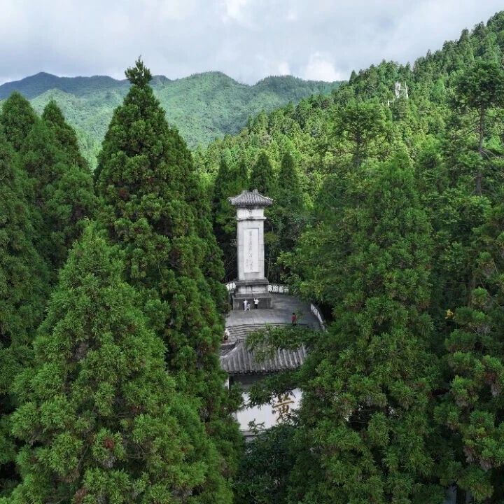清明时节上井冈,踏青追思两不误!这份攻略请收好