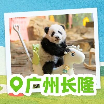 早鸟票79元起!双人票8折!春日快乐由广州长隆“包圆”!
