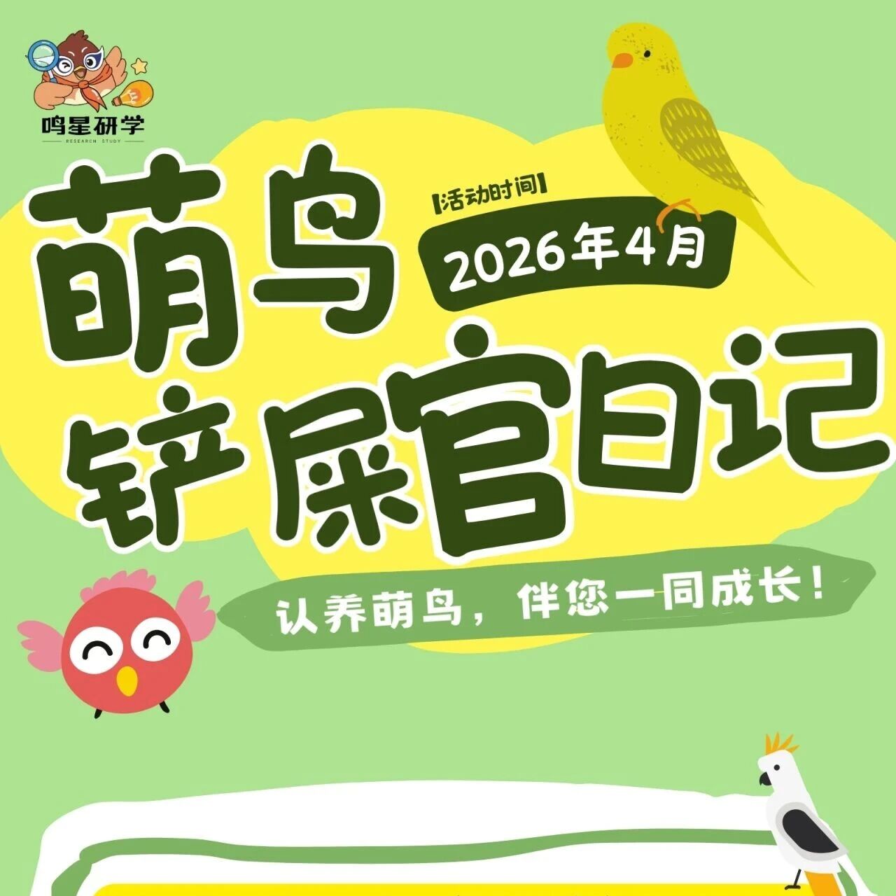 鸣星研学上新 | 认养一只小鸟宝宝 伴你一起健康成长!