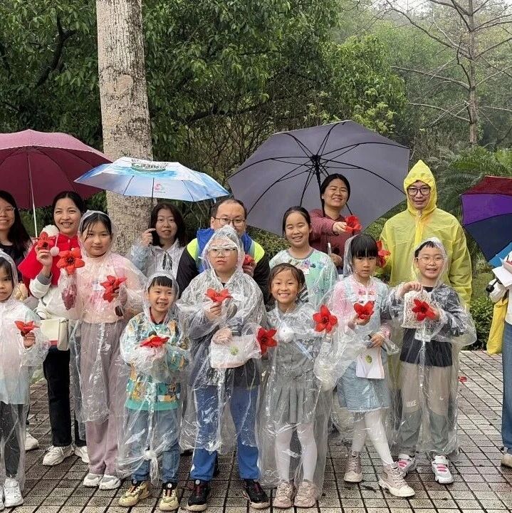 活动回顾|英雄树的自然手札!做一本会“说话”的木棉手账