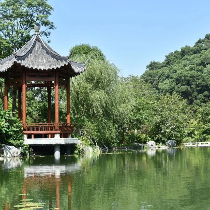 清明至・春满云溪|文明祭扫承传统,绿色出游护家园