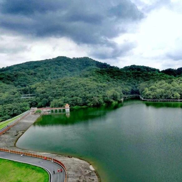 白云山一路生花网红步梯,春日踏青必打卡