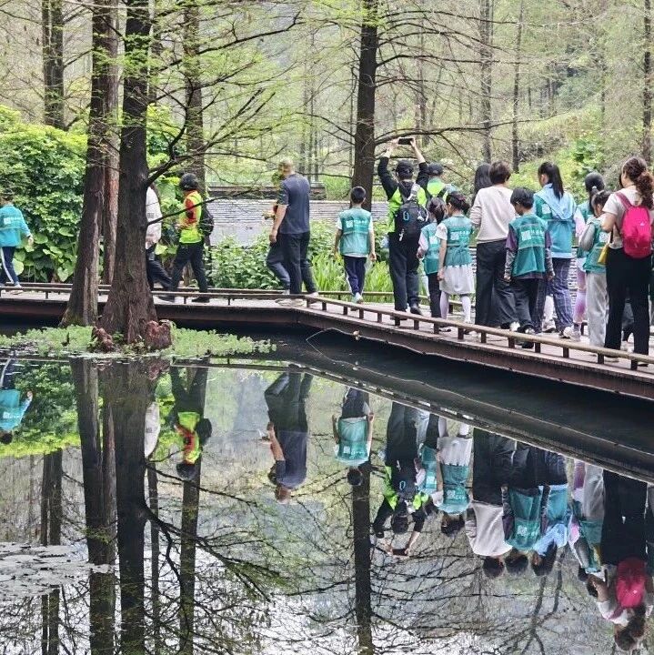 公益活动招募 | 红树林不用去海边?博士邀你观盆栽、摸标本,探秘神奇植物!