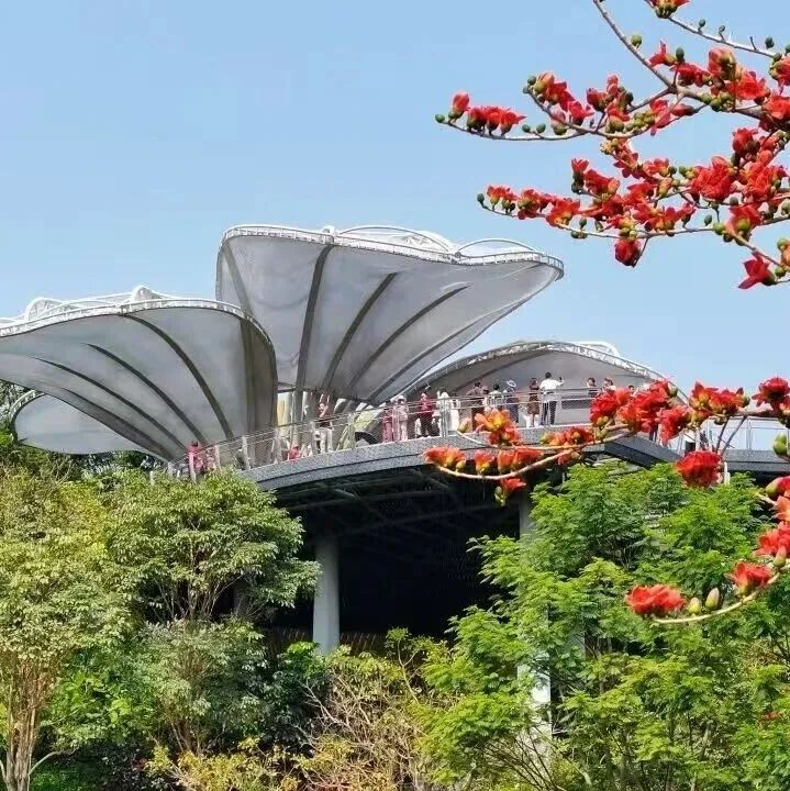 英雄花开英雄城|广州市白云山云萝植物园红棉舞台第四期活动预告