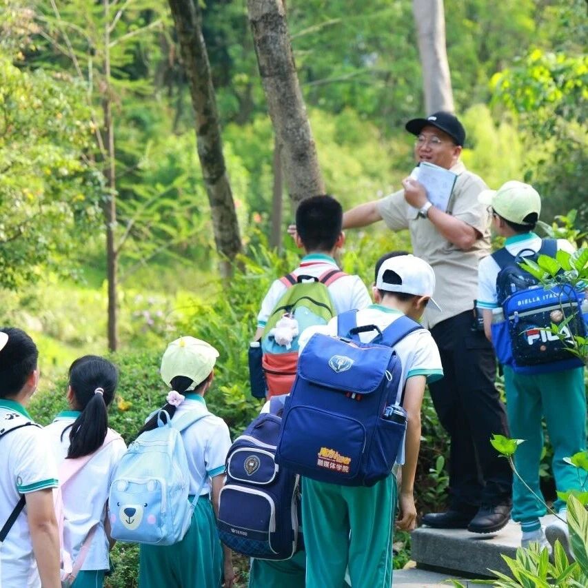 当课堂搬进森林,云溪植物园“森林健身房”的自然研学奇遇记
