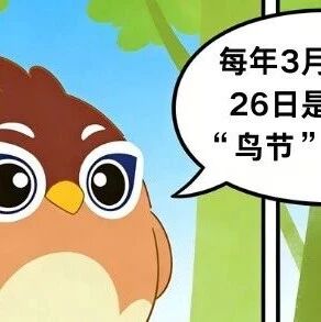 爱鸟周来啦!白云山鸣春谷喊你一起解锁护鸟小知识,与“鸣”同乐