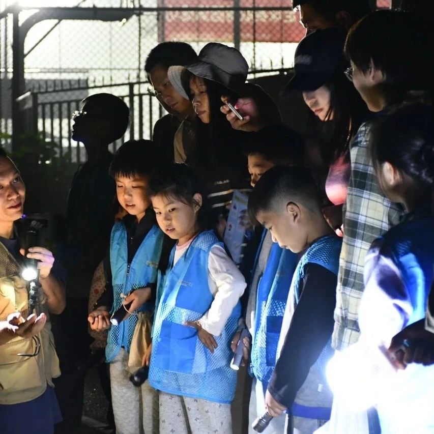 白云山森林夜观|这场夜行之旅,我们收获了不止星光与虫鸣