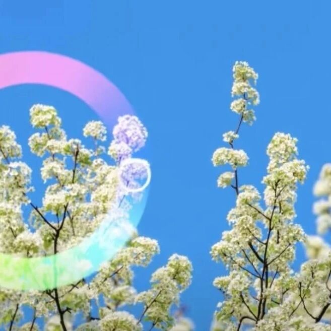 一起用色环打开钟山的春天!