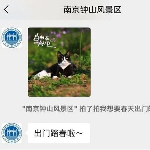 春假倒计时!钟山拍了拍你:出门踏春啦~