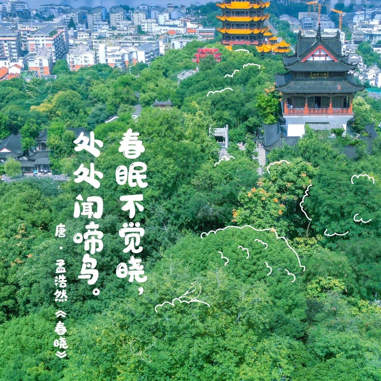 爱鸟周|来蛇山,和鸟儿“交朋友”