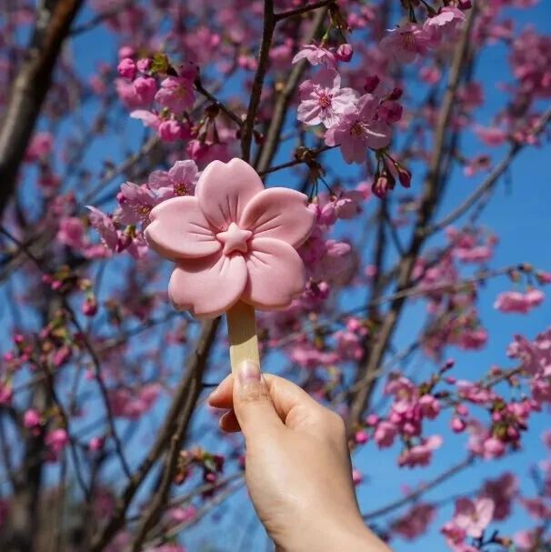 东湖樱花水岸 | 这个周末,承包京城首条樱花河的粉色浪漫