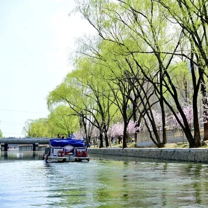 首条樱花河!北小河3.8公里航线游船开通时间定了——