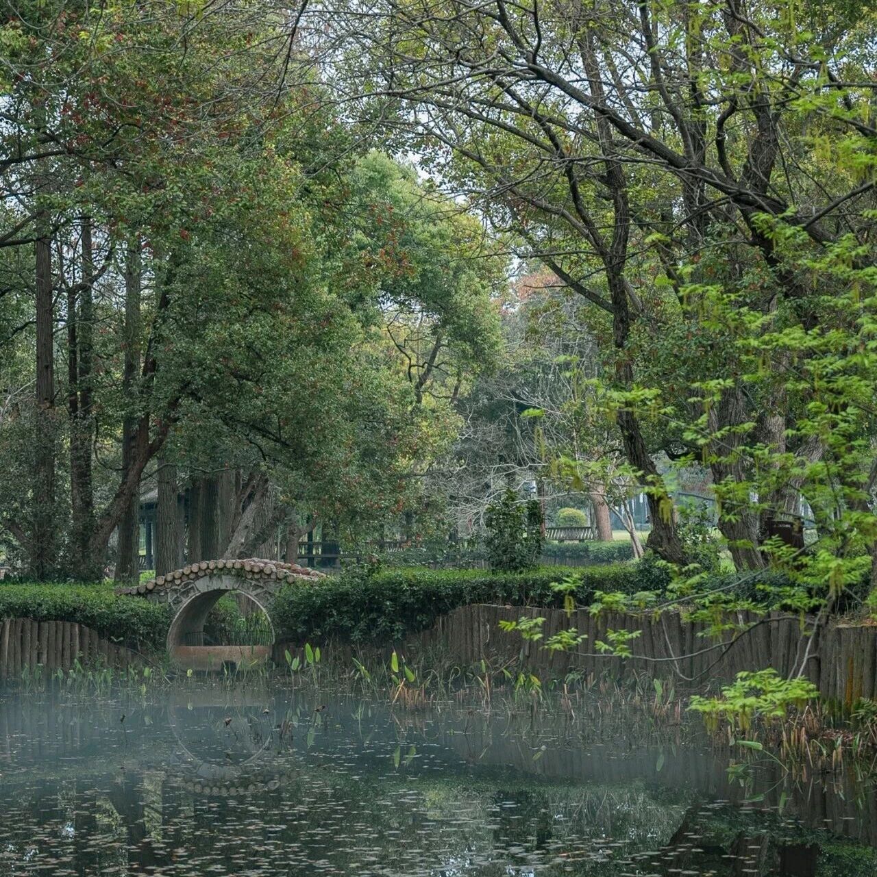 你好,4月!预告:落雁景区这个月将有大事发生