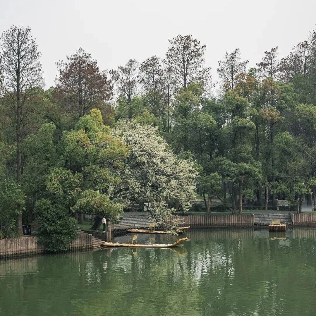 九曲桥焕新归来,春日落雁还藏着哪些宝藏景点