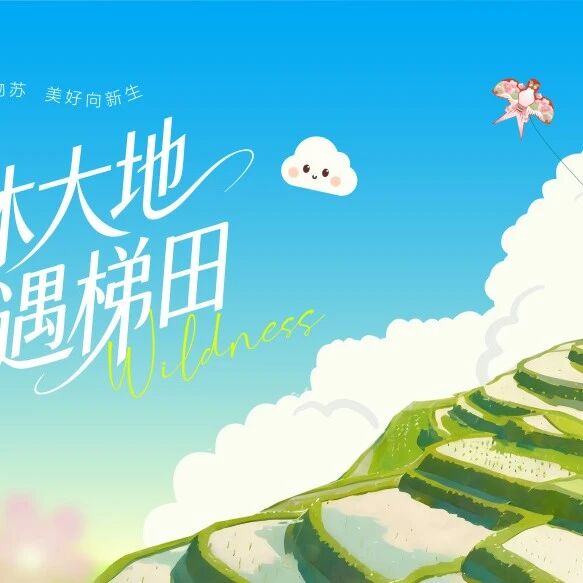 云和梯田清明踏青全攻略上线!云海兜底 + 畲韵民俗解锁春日新玩法~