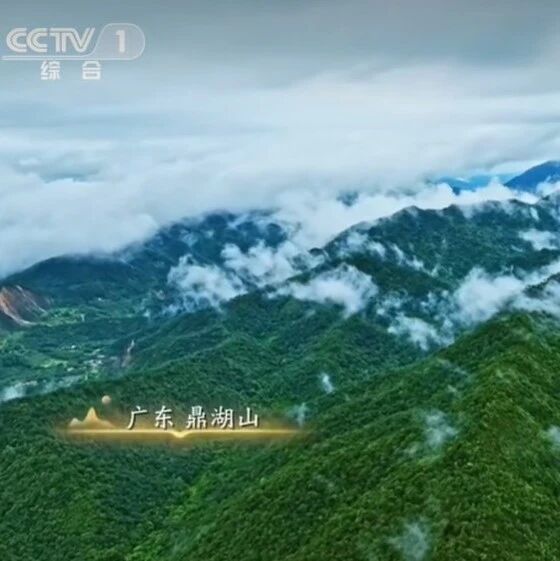 央视航拍下的鼎湖山,太美啦!
