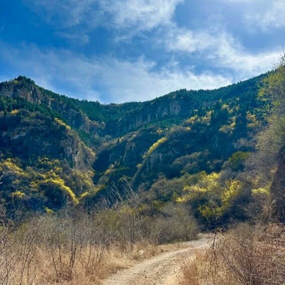 济南“一城山色”登山赏花攻略——赴一场山色与花事的约会