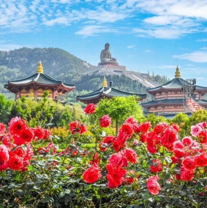 南山旅游景区春日赏花参考攻略