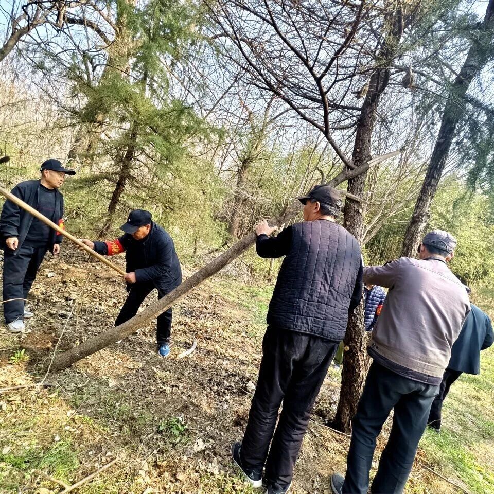 云驼风景区运行服务中心|精细管护提质效 全力备战假期游客接待