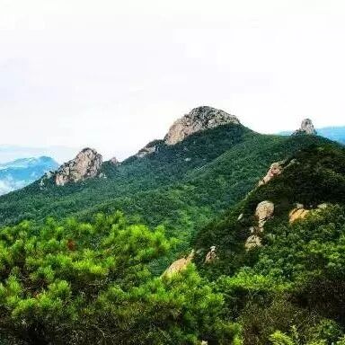 喜报!沂蒙山龟蒙景区、云蒙景区荣获双重荣誉!