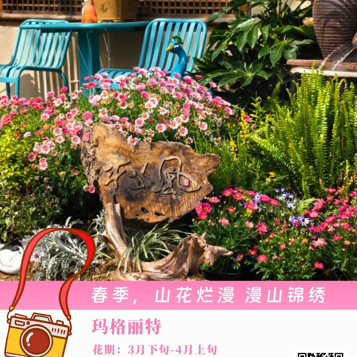 逛云蒙、赏繁花,全年皆可赴花约!