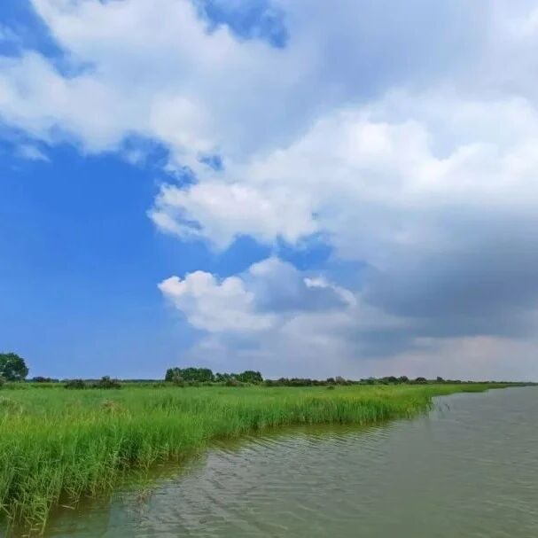 【黄河口生态旅游区】清明去哪儿玩?这份黄河口游玩指南请收好!