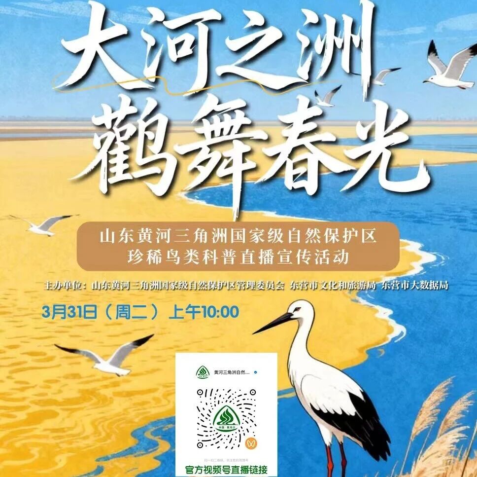 “大河之洲・鹳舞春光”珍稀鸟类科普直播来啦!