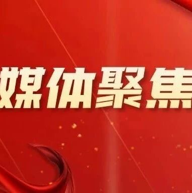 新华社聚焦丨黄河入海口 候鸟的选择