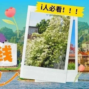 i人请进!记住鼓浪屿这8个地方!适合i人的citywalk路线