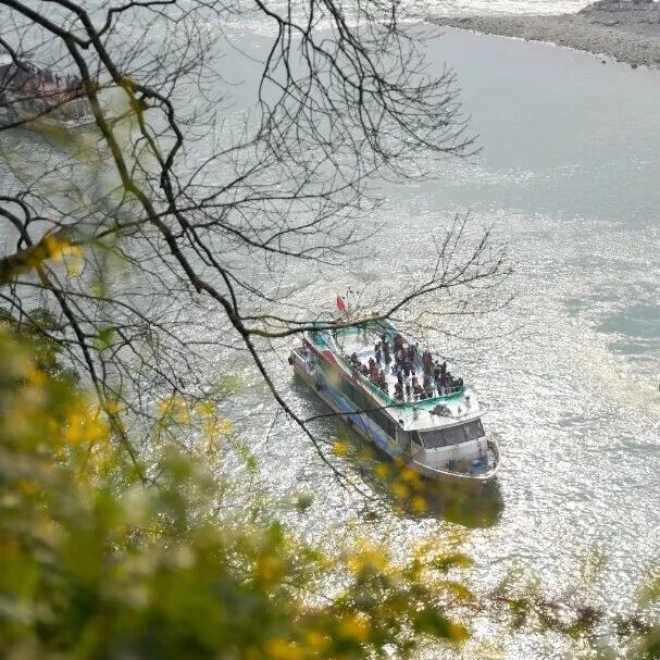 乐山两大5A级景区免票游,面向Ta们→