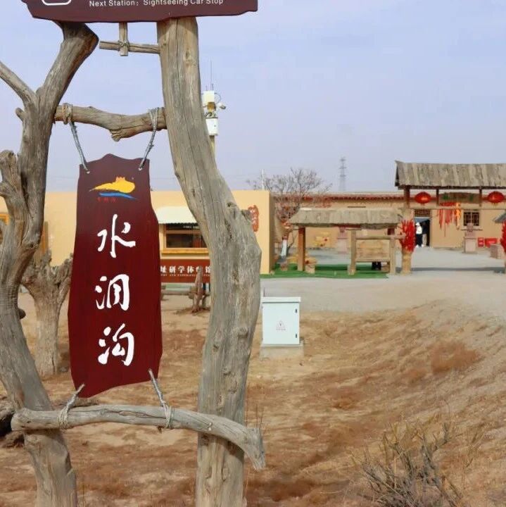 不允许还有人没去!水洞沟游人满格,春日氛围感直接拉满